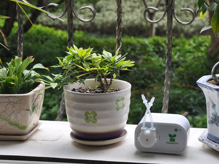 Automatic watering device